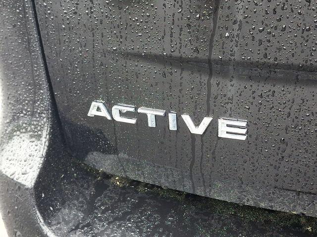 2025 Ford Expedition Active MAX