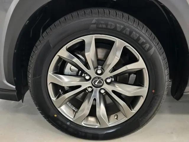 2021 Lexus NX 300 F SPORT