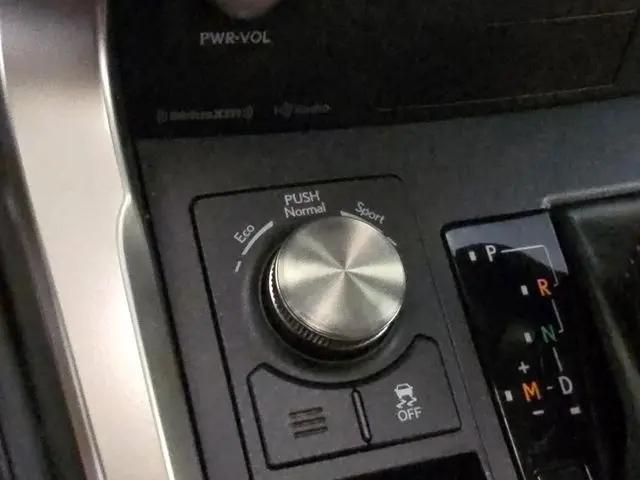 2021 Lexus NX 300 F SPORT