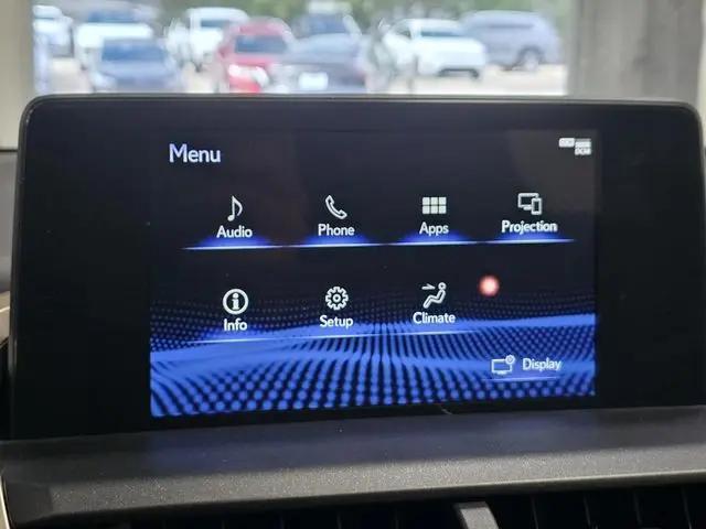 2021 Lexus NX 300 F SPORT