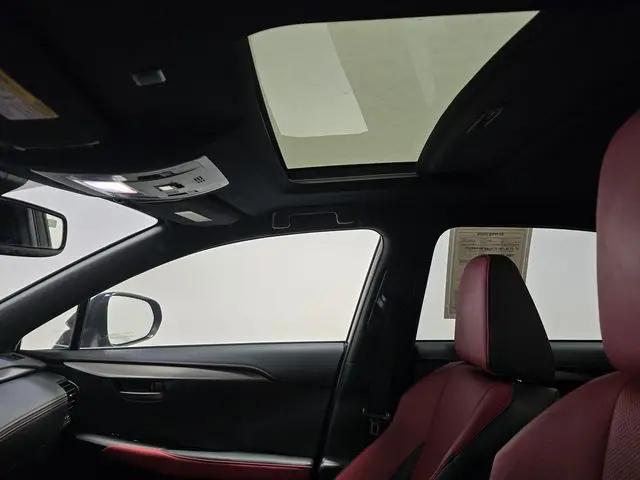 2021 Lexus NX 300 F SPORT