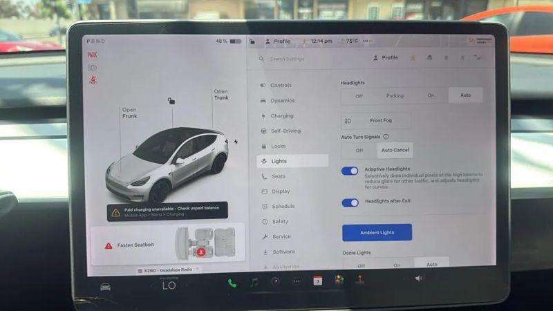 2021 Tesla Model Y Performance Dual Motor All-Wheel Drive