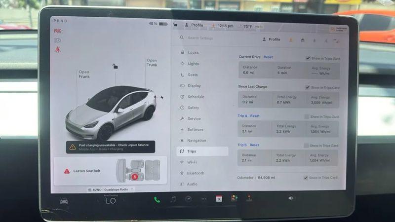 2021 Tesla Model Y Performance Dual Motor All-Wheel Drive