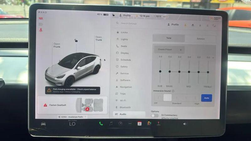 2021 Tesla Model Y Performance Dual Motor All-Wheel Drive