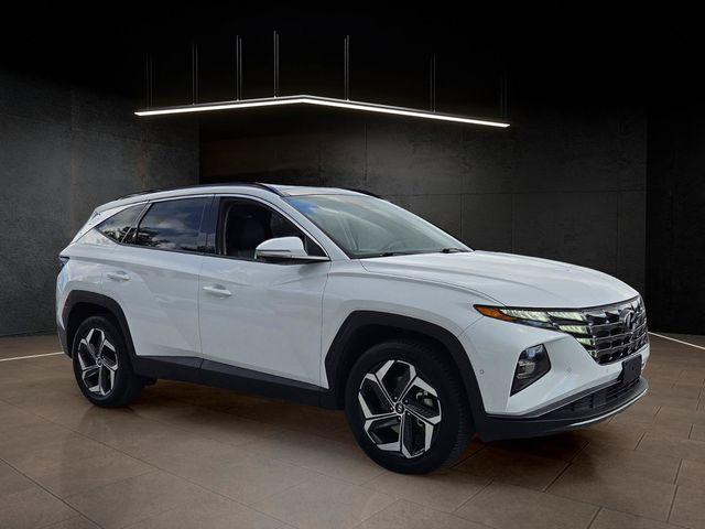 2024 Hyundai Tucson Limited for sale in Saint Petersburg, FL