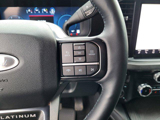 2025 Ford F-350 Platinum