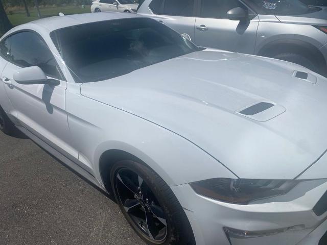 2022 Ford Mustang EcoBoost Fastback