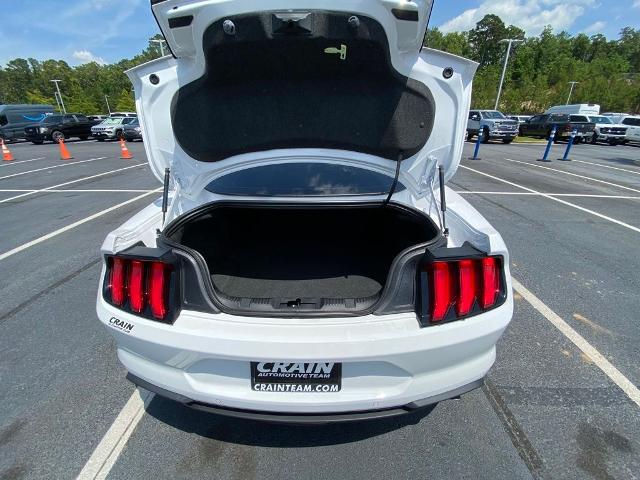 2022 Ford Mustang EcoBoost Fastback