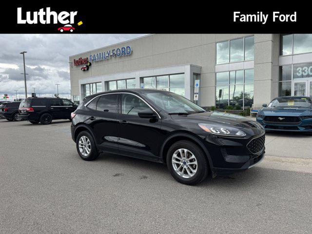 2022 Ford Escape SE for sale in Fargo, ND