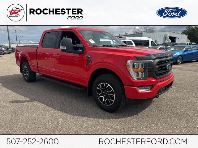2023 Ford F-150 XLT for sale in Rochester, MN