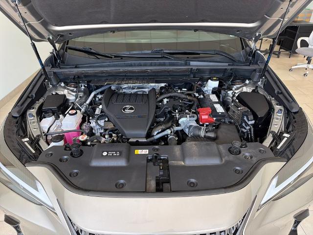 2024 Lexus NX 350 Premium