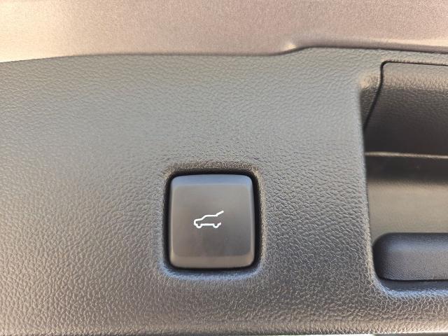 2024 Ford Escape ST-Line Elite
