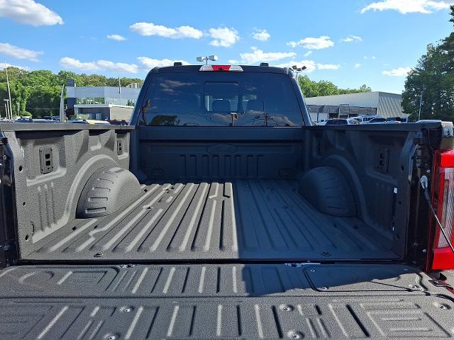 2025 Ford F-250 Platinum