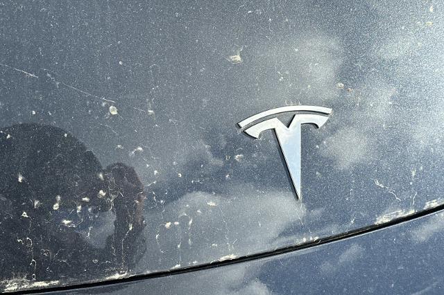 2025 Tesla Model 3 Long Range Rear-Wheel Drive