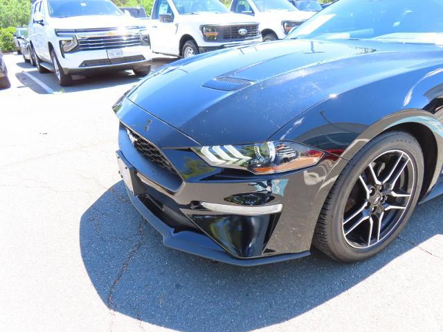 2023 Ford Mustang EcoBoost Premium Fastback