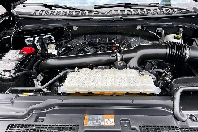 2025 Ford Expedition Active MAX
