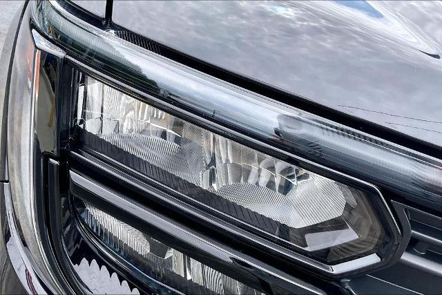 2025 Ford Expedition Active MAX