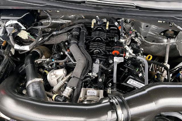 2025 Ford Expedition Active MAX