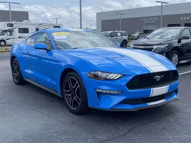 2022 Ford Mustang EcoBoost Premium Fastback for sale in Greer, SC