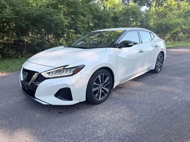 2019 Nissan Maxima 3.5 SV for sale near Sandusky, OH
