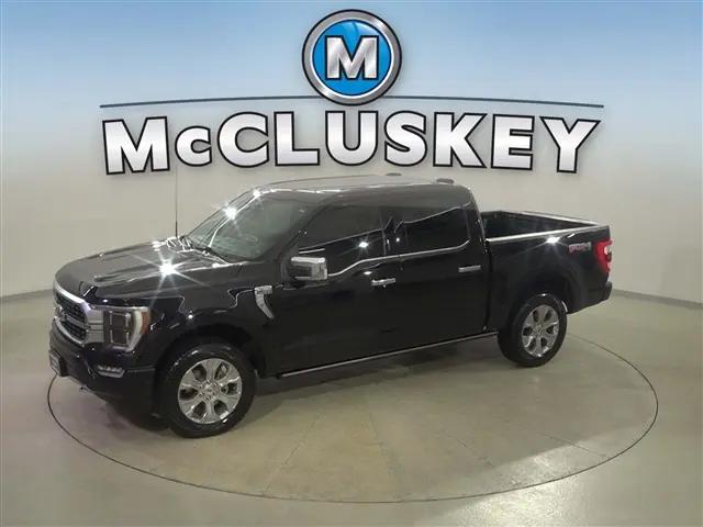 2023 Ford F-150 Platinum for sale in Cincinnati, OH