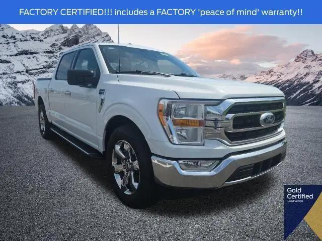 2023 Ford F-150 XLT for sale in Plainfield, IN