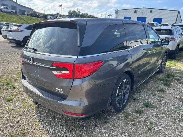 2024 Honda Odyssey Elite