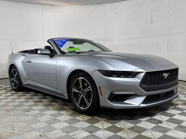 2025 Ford Mustang EcoBoost Premium Convertible for sale in Apopka, FL