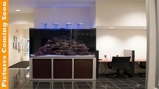 2022 Chevrolet Colorado 4WD Crew Cab Short Box Z71