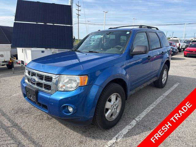 2011 Ford Escape XLT for sale in Alexandria, KY