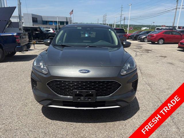 2020 Ford Escape SE for sale in Alexandria, KY