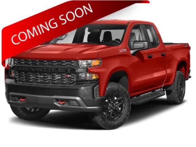 2020 Chevrolet Silverado 1500 4WD Double Cab Standard Bed Custom Trail Boss for sale near Columbus, OH