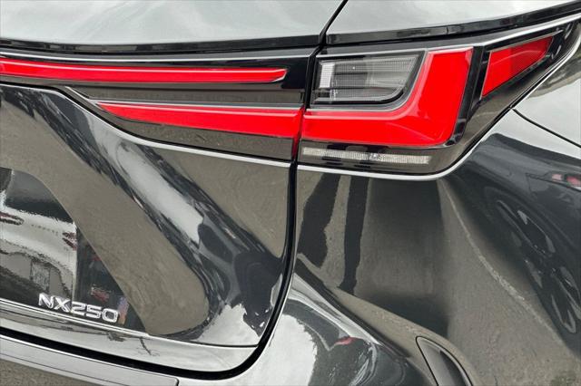2024 Lexus NX Premium