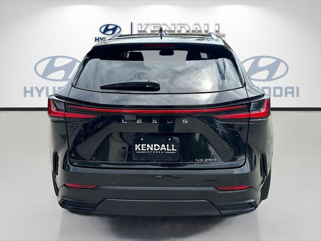 2025 Lexus NX NX 250