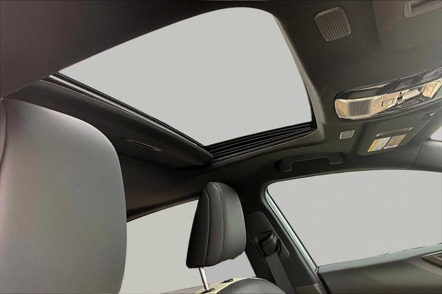 2023 Lexus NX 350h Premium