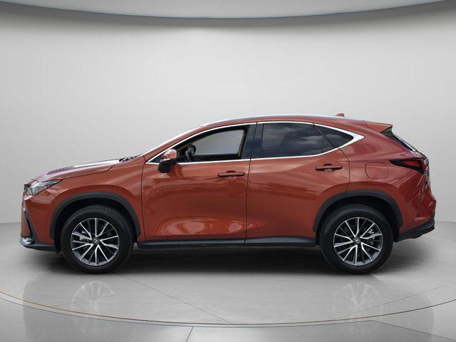 2024 Lexus NX 250 Base