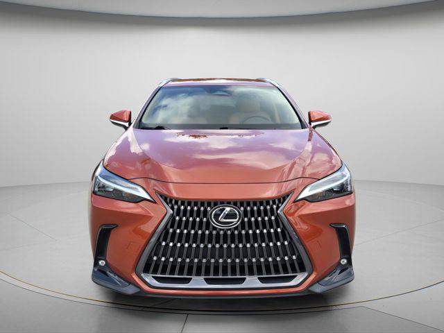 2024 Lexus NX 250 Base