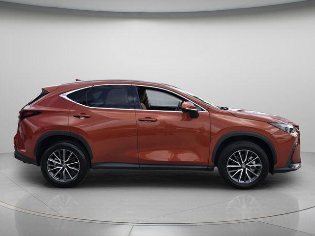 2024 Lexus NX 250 Base