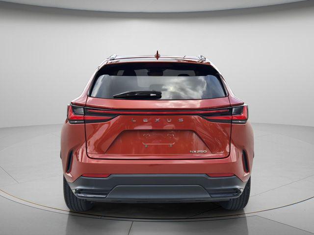 2024 Lexus NX 250 Base
