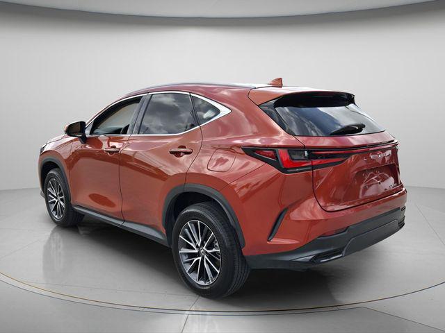 2024 Lexus NX 250 Base