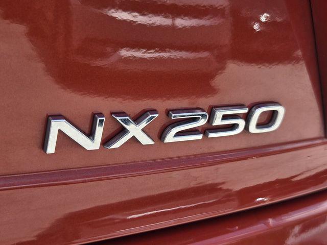 2024 Lexus NX 250 Base