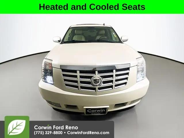 2010 Cadillac Escalade Standard