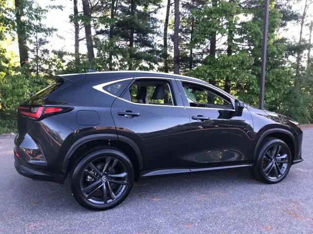 2024 Lexus NX Luxury