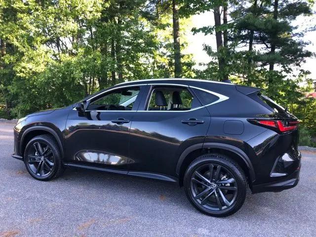 2024 Lexus NX Luxury