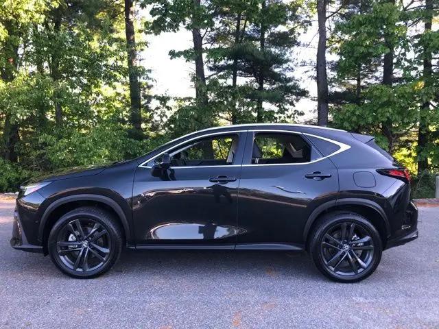 2024 Lexus NX Luxury