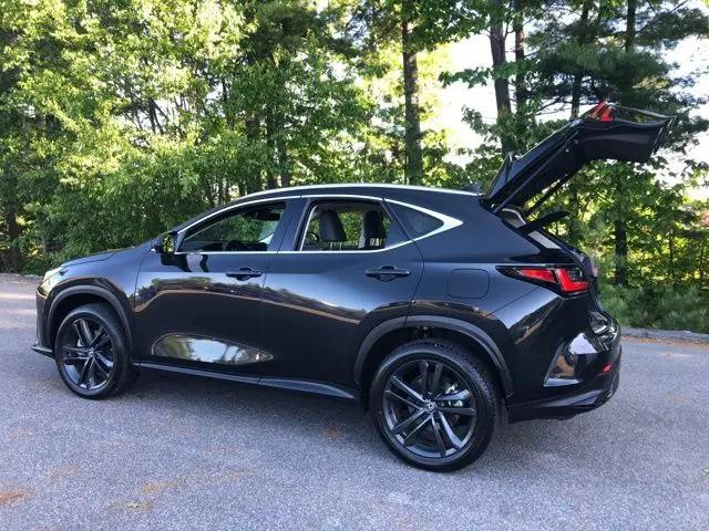 2024 Lexus NX Luxury