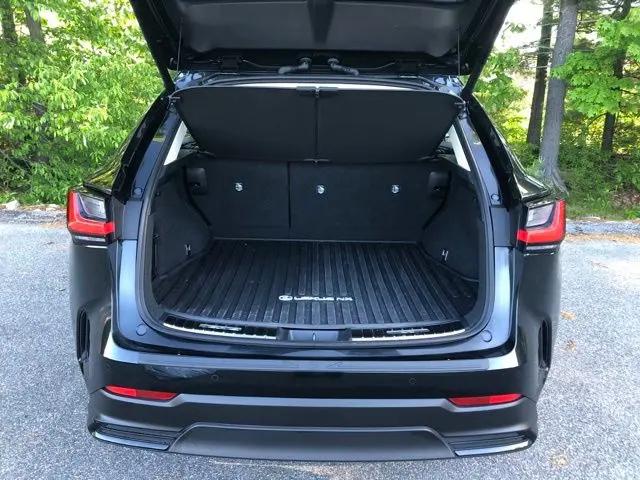 2024 Lexus NX Luxury