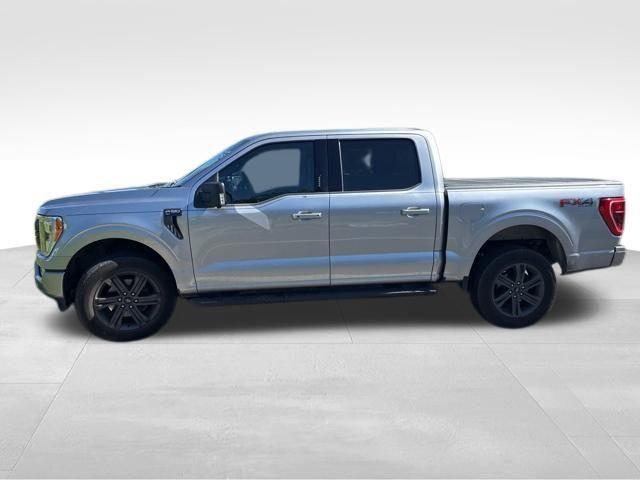 2023 Ford F-150 XLT 2023 Ford F-150 XLT