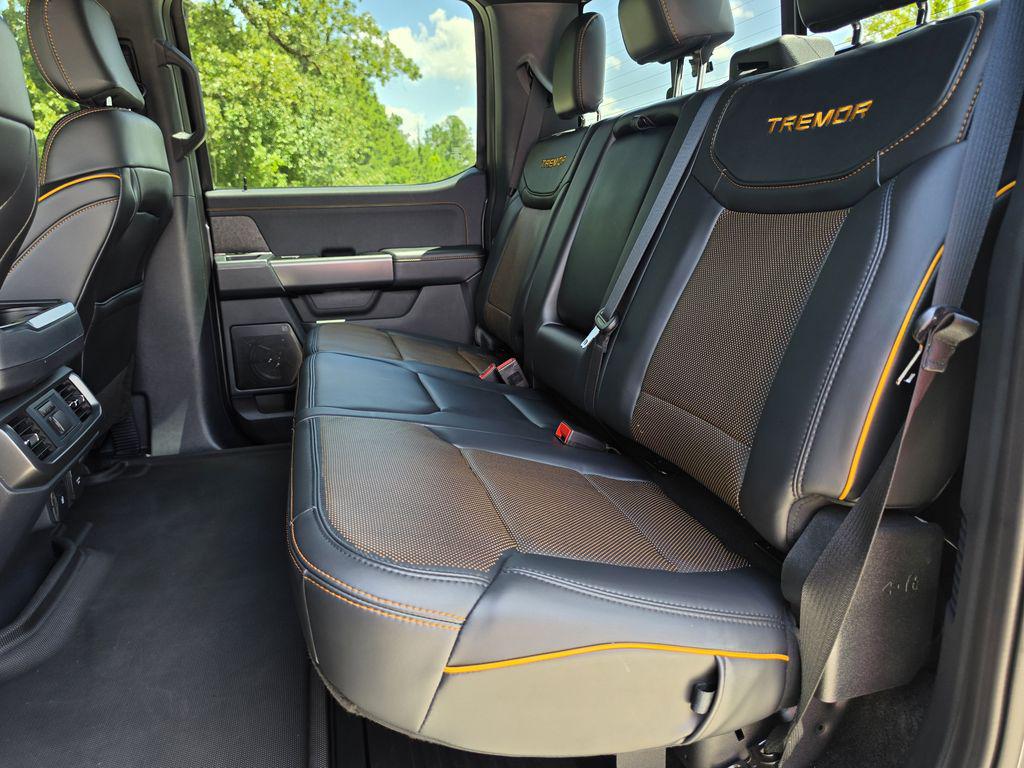 2025 Ford F-150 Tremor - Photo 19