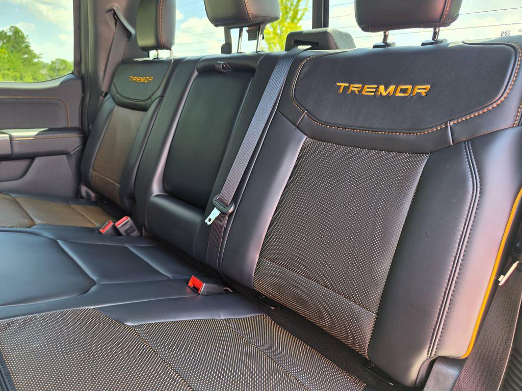 2025 Ford F-150 Tremor - Photo 20